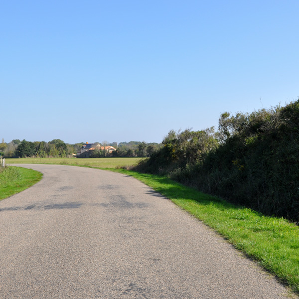 Bocage sculpt par le vent sur le plateau de la Plaine sur Mer